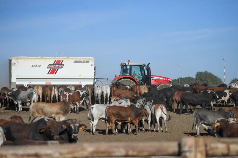 South African Beef The Price Is Right To Panic - bbmmd16