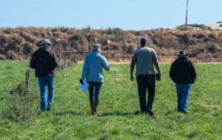 Cattle Farming Lessons - Beefmaster