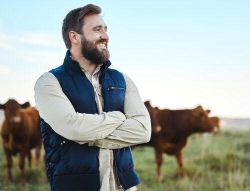 Beefmaster Supports Staff Wellbeing with Holistic Wellness Programme
