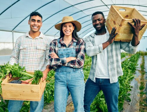 Why South Africa Needs More Young People in Agriculture