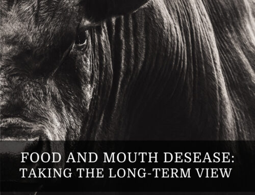 Foot and Mouth Disease (FMD) in South Africa: Why a Long-Term Strategy Is Key to Protecting the Livestock Industry