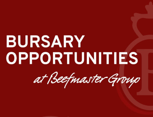 Agriculture Bursary Applications Closing Soon: Beefmaster Group Opens 2026 Programme